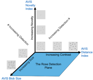 Rose Detection Plane comparing increasing size and contrast to detection probability.